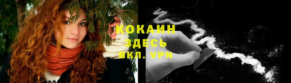 тгк Новодвинск