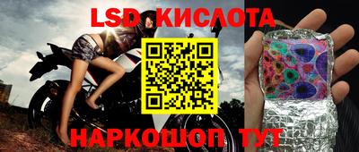 PSILOCYBIN Кинель