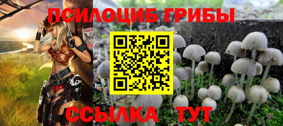 Псилоцибиновые грибы Psilocybine cubensis  Вход с VPN  Лысьва 